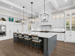 39 Johnathan Landing Court, The Woodlands TX 77389