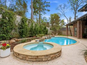 62 N Spring Trellis Circle, The Woodlands TX 77382
