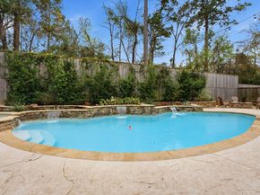 62 N Spring Trellis Circle, The Woodlands TX 77382