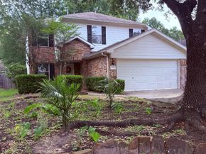 30 Thicket Grove Place, The Woodlands TX 77385