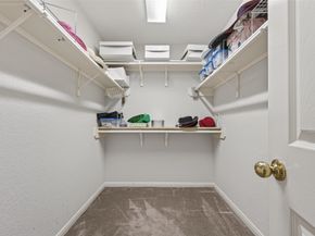 17707 Thicket Hollow Lane, Cypress TX 77429