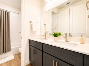 25314 Rothesay Lane, Katy TX 77493