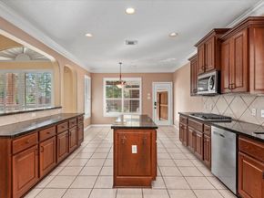 9815 Audubon Park Drive, Spring TX 77379