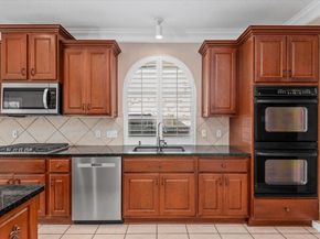 9815 Audubon Park Drive, Spring TX 77379