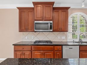 9815 Audubon Park Drive, Spring TX 77379