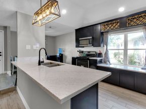 12202 Roandale Drive, Houston TX 77048