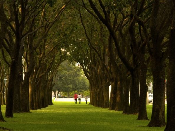 1131 Walling Street, Houston TX 77009