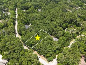 10362 Hunter Creek Lane, Conroe TX 77304