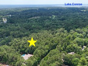 10362 Hunter Creek Lane, Conroe TX 77304