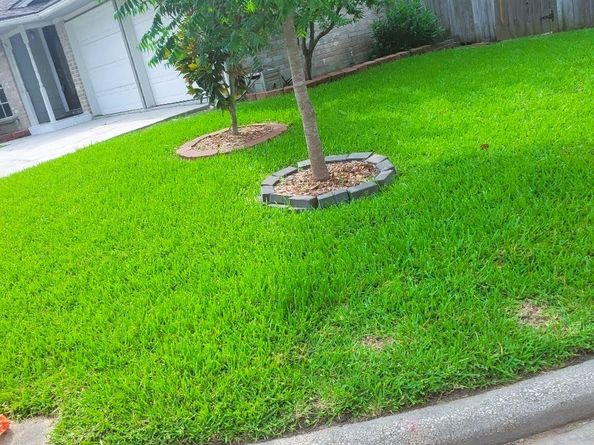 12923 Skymeadow Drive, Houston TX 77082