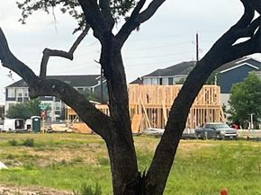 14729 Blooming Jasmine Trail, Houston TX 77082