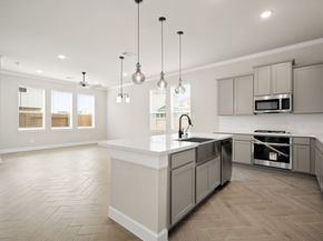 3354 Vine Terrace Trace, Houston TX 77047