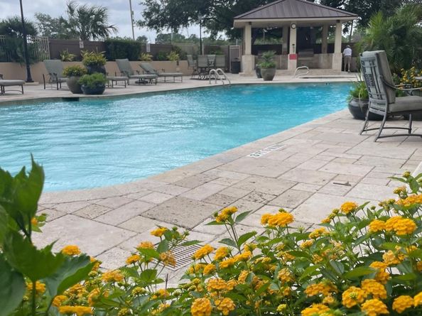 3525 Sage Road 1204, Houston TX 77056