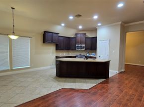 17511 Browning Trace Lane, Richmond TX 77407