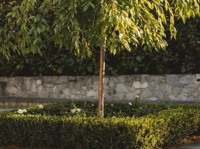 3117 O Street NW, Washington DC 20007