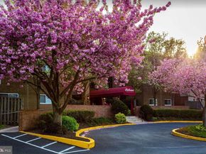 46 Township Line Road 215, Elkins Park PA 19027