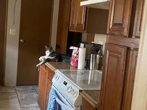 5319 Glenloch Drive, Morrisville PA 19067