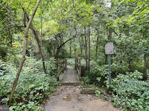 4500 35TH Road N, Arlington VA 22207