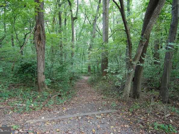 4500 35TH Road N, Arlington VA 22207