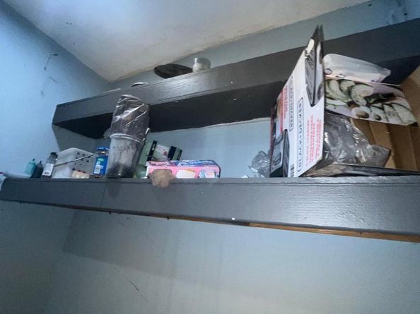 4021 Reno Street, Philadelphia PA 19104