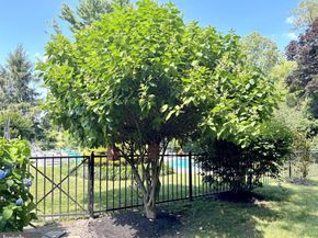 357 Sprague Road, Penn Valley PA 19072