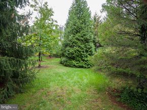 236 W Spring Avenue, Ardmore PA 19003