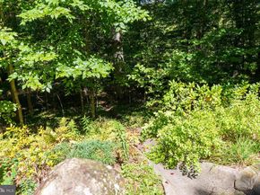 7 Walt Lane, Wyncote PA 19095