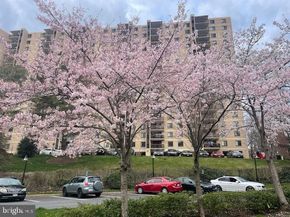 203 Yoakum Parkway 711, Alexandria VA 22304