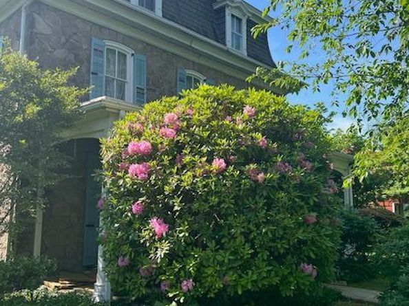 231 Madison Avenue, Fort Washington PA 19034