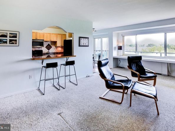 4201 Cathedral Avenue NW 1411E, Washington DC 20016