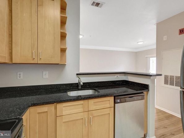 1580 Spring Gate Drive 4111, Mclean VA 22102