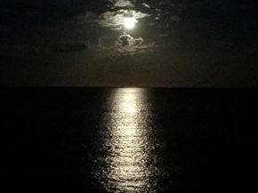 3456 S Ocean Boulevard 504, Palm Beach FL 33480