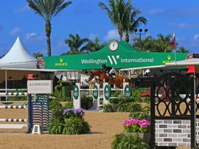 14439 Draft Horse Lane, Wellington FL 33414