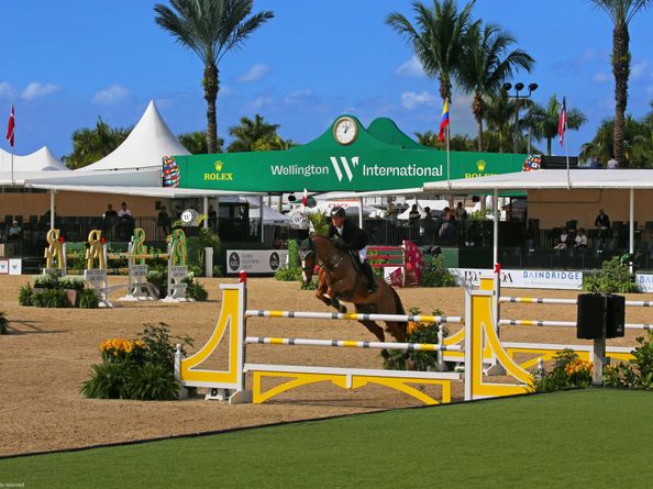 14439 Draft Horse Lane, Wellington FL 33414