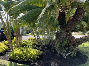 299 NW 10th Court, Boca Raton FL 33486