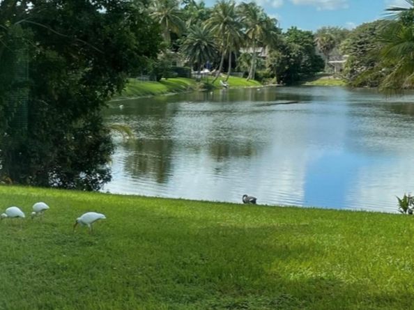 299 NW 10th Court, Boca Raton FL 33486