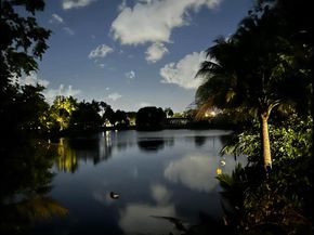 299 NW 10th Court, Boca Raton FL 33486