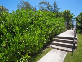 2121 N Ocean Boulevard 806w, Boca Raton FL 33431