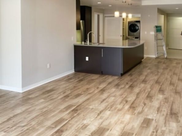 540 S Kenmore Avenue 204, Los Angeles CA 90020