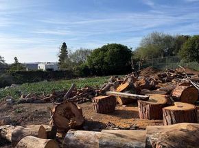 3536 Ybarra Road, Spring Valley CA 91978