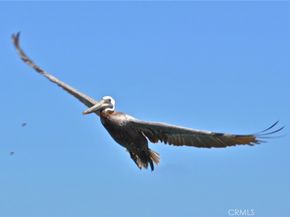 34122 Selva, Dana Point CA 92629