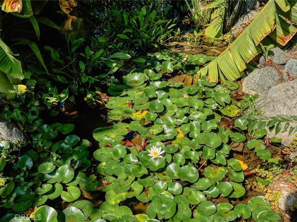 470 W Duarte B, Arcadia CA 91007