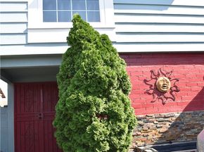 956 E Gladwick Street, Carson CA 90746