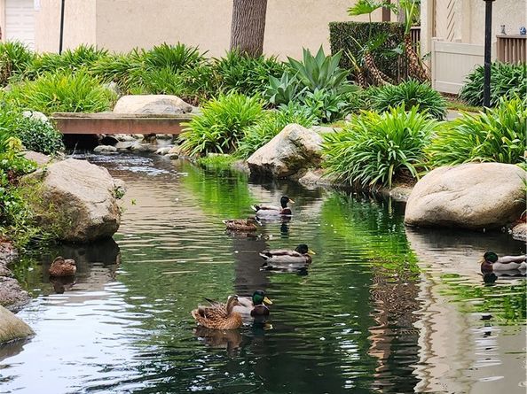 4861 Lago 206, Huntington Beach CA 92649