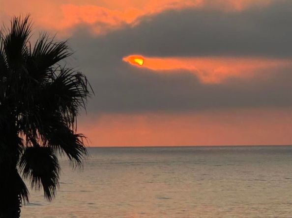 417 N Cedros Ave, Solana Beach CA 92075