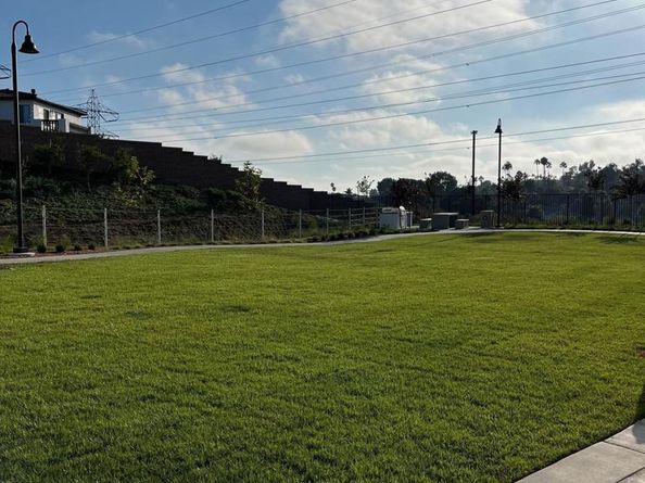 2440 Calendula Lane, Carlsbad CA 92008
