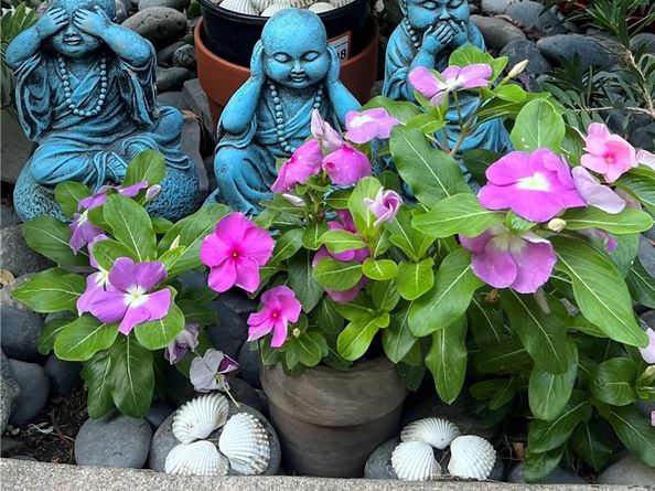 320 W Walnut Street 51, Ontario CA 91762