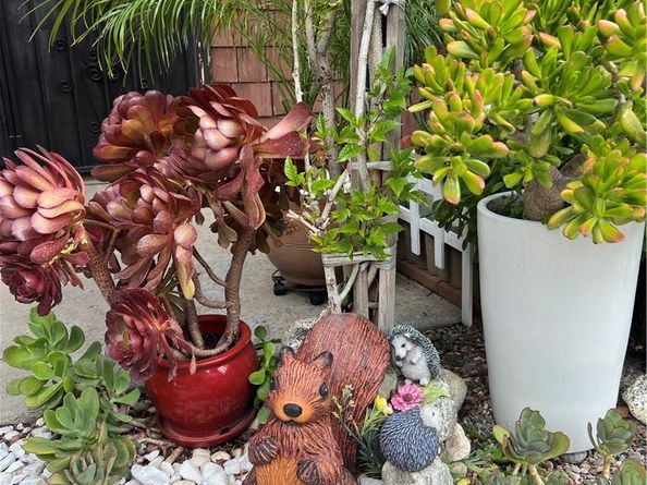 320 W Walnut Street 51, Ontario CA 91762