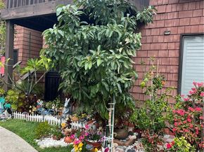 320 W Walnut Street 51, Ontario CA 91762