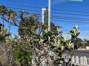 226 E Edinger Avenue, Santa Ana CA 92707